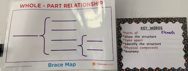 Brace Map